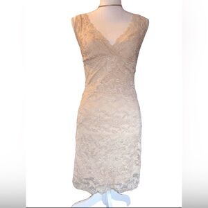 Boston Proper Champagne Lace with sequins Cocktail Dress | Size 10